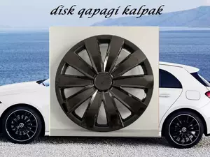 disk qapagi r15/r14/r13/r16